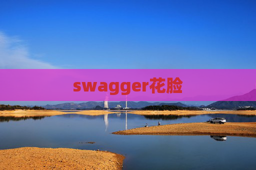 swagger花脸 swagger花脸